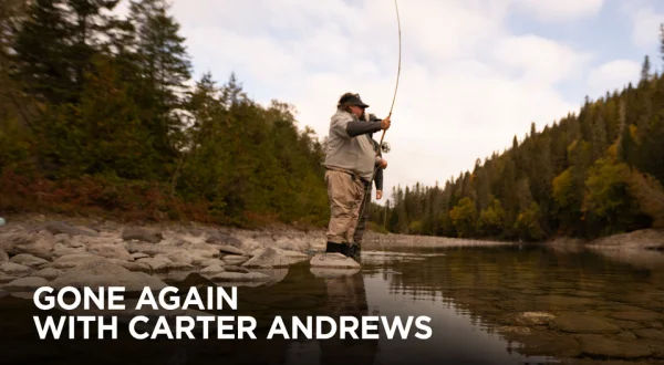 Gone Again With Carter Andrews