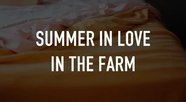 Summer in Love in the Farm