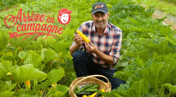 Arrive en campagne