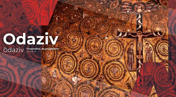 Odaziv