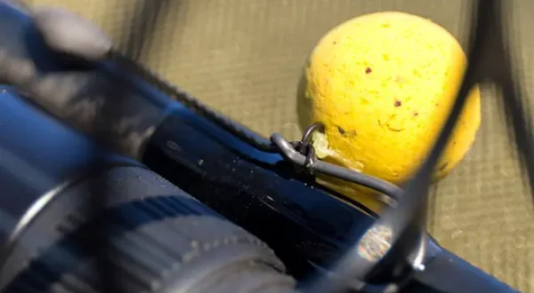 Karpfen - die besten Pop Up Rigs