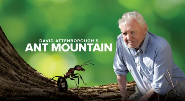 David Attenborough's Ant Mountain