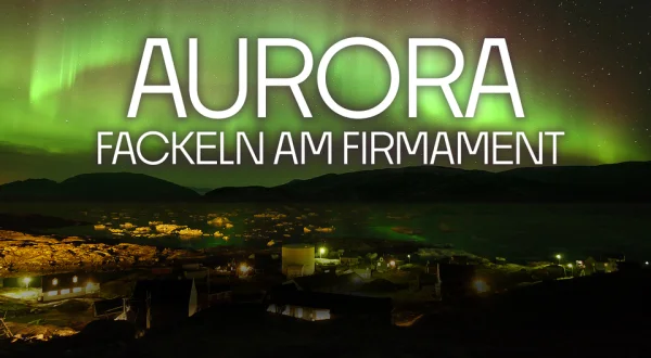 Aurora - Fackeln am Firmament