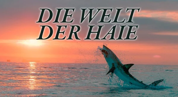 Die Welt der Haie