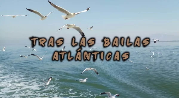 Tras las pajareras atlánticas