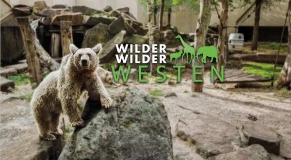Wilder wilder Westen