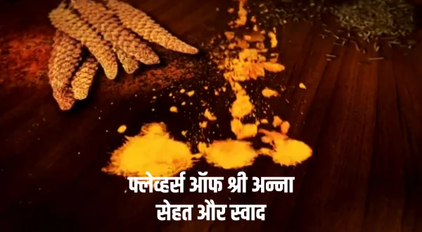 फ्लेव्हर्स ऑफ श्री अन्ना सेहत और स्वाद