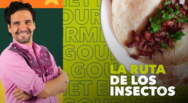 La ruta de los insectos
