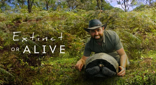 Extinct Or Alive
