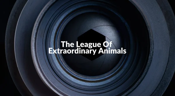 The League Of Extraordinary Animals