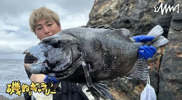 磯釣りギャラリー 三宅島の名礁・三本岳で狙うイシダイ