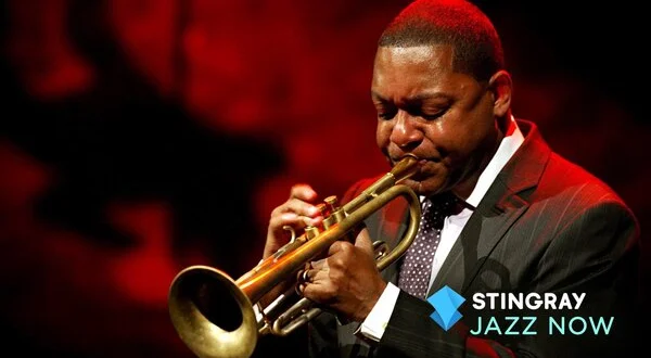 Stingray Jazz Now
