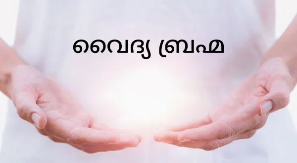 Vaidya Brahma