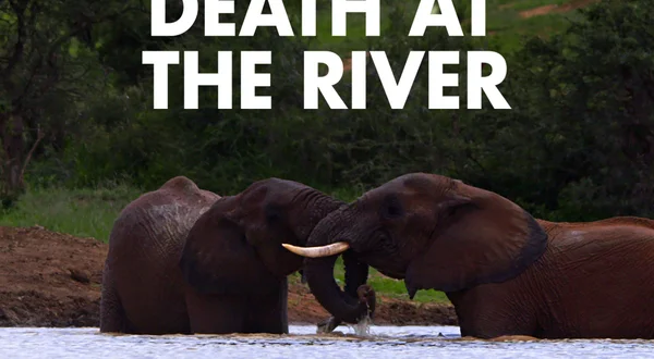 Death at the River