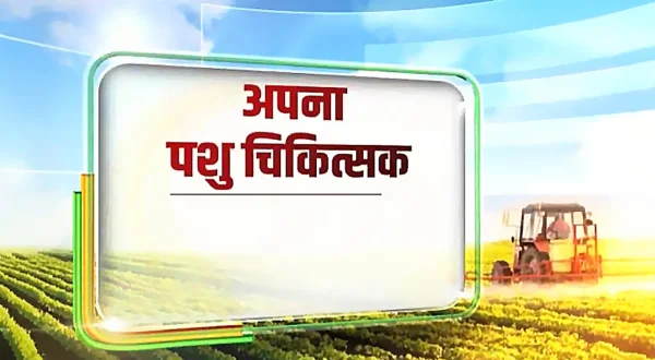 अपना पशुचिकिस्तक