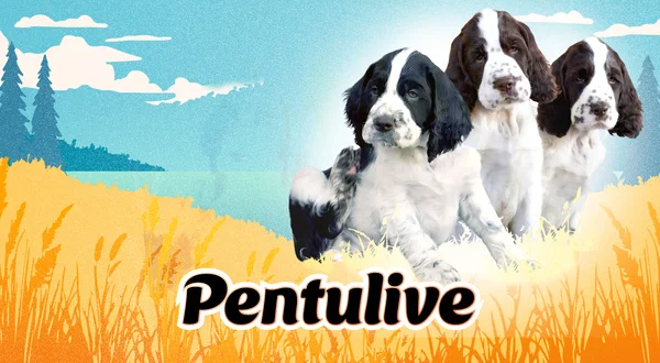 Pentulive