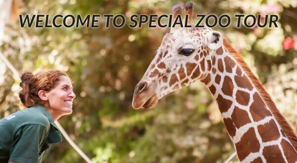 Welcome to Special Zoo Tour