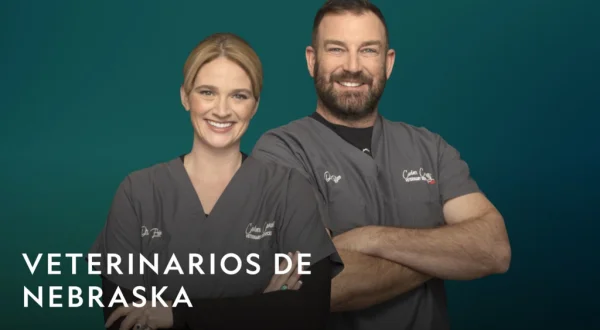 Veterinarios de Nebraska