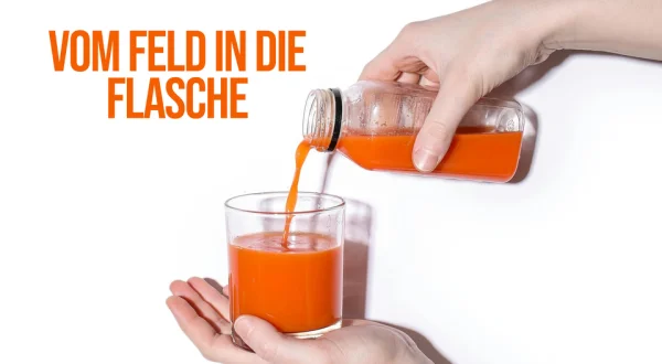 Vom Feld in die Flasche