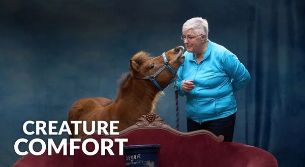 Creature Comfort