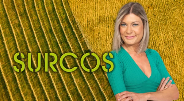 Surcos