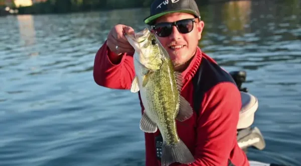 Stickbaitangeln auf Blackbass