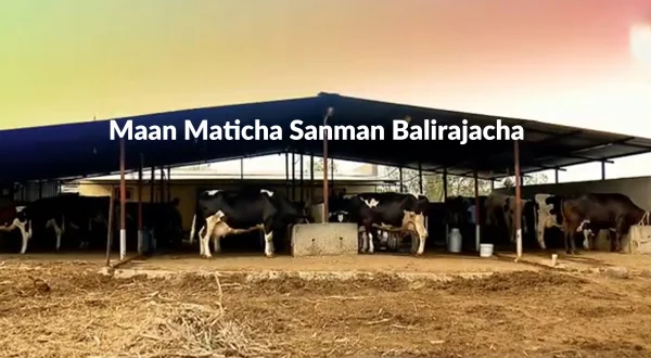 Maan Maticha Sanman Balirajacha