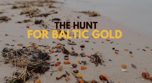 The Hunt for Baltic Gold