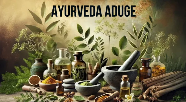 Ayurveda Aduge