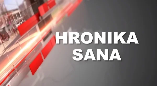 Hronika Sana