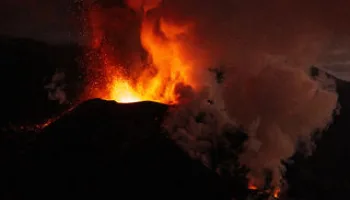 Senza Sconti Fin Dove La Vita Resiste