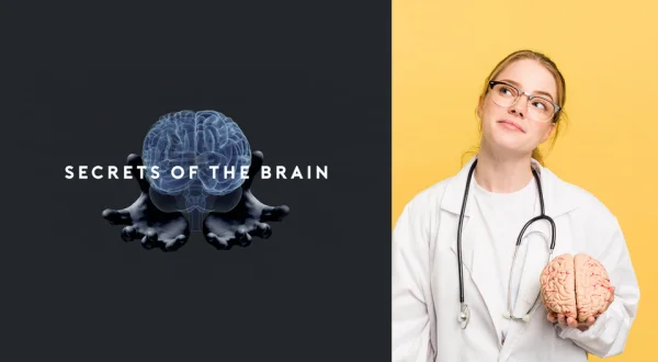 Secrets of the Brain