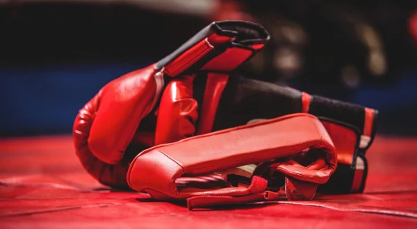 Kickboxing : ONE Fight Night
