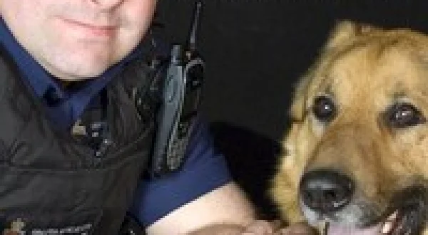 Send in the Dogs UK