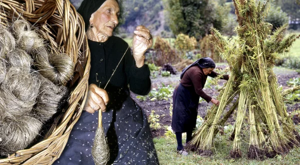 El cáñamo en el Pirineo. Cultivo y elaboración tradicional de tejidos y fibras