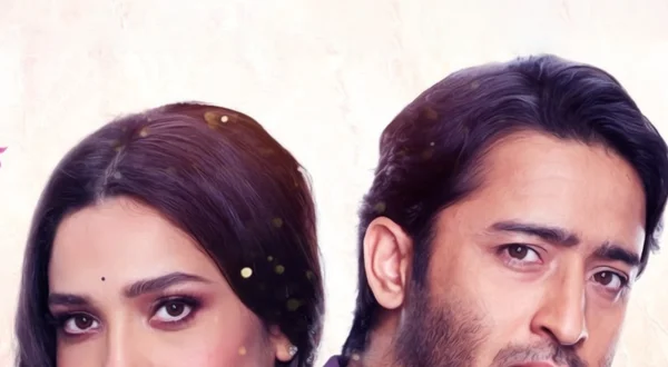 Pavitra Rishta 2.0 - It's Never Too Late