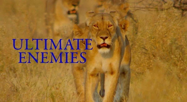 Ultimate Enemies