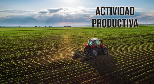 Actividad productiva