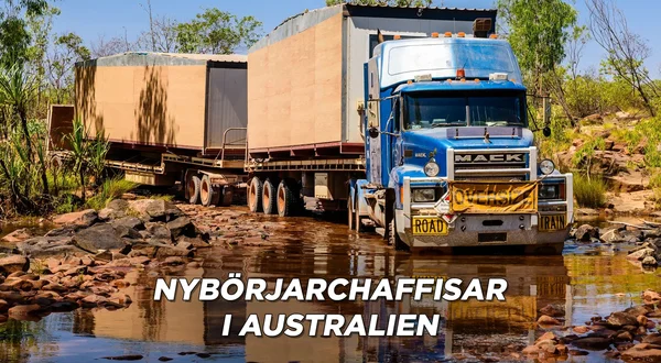Nybörjarchaffisar i Australien