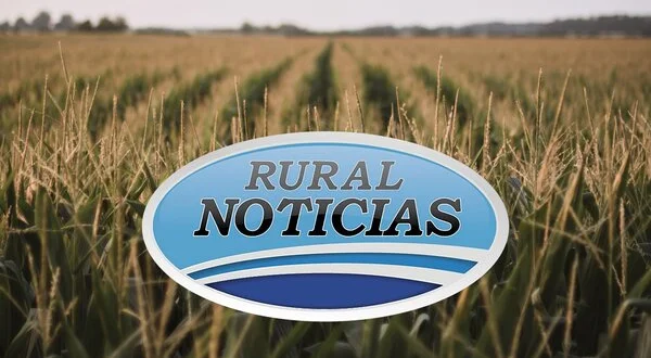 Canal Rural noticias: Edición domingo