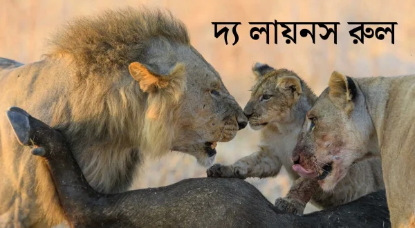 த லயன்ஸ் ரூல்