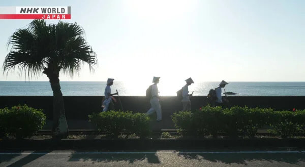 Dig More Japan