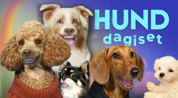 Hunddagiset