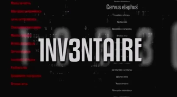 Inventar faune