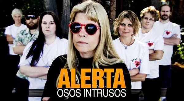 Alerta: Osos Intrusos