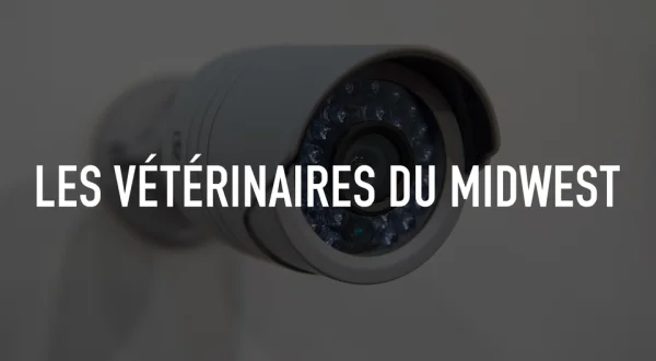 Les Vétérinaires du Midwest