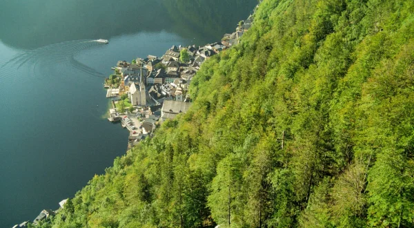Österreichs Welterbe – Urwald, Salz und barocke Pracht