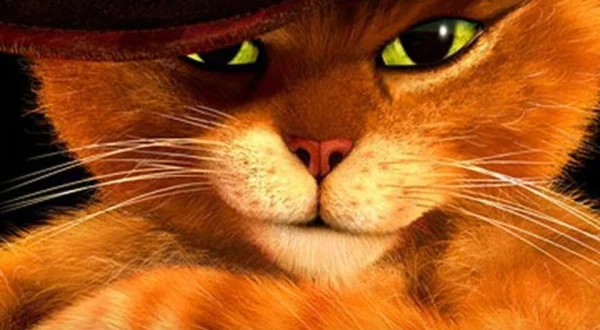 De Avonturen van De Gelaarsde Kat