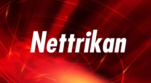 Nettrikan
