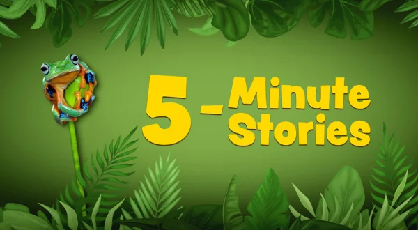 5 Minute Stories